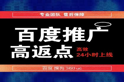 网站sem托管服务提供商的成功案例分析